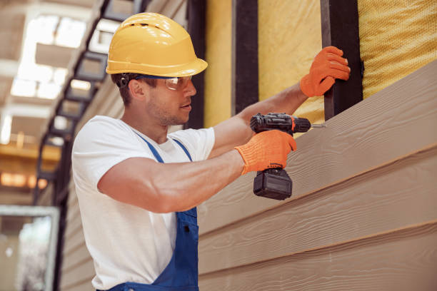 Best Custom Trim and Detailing for Siding  in Dresser, WI